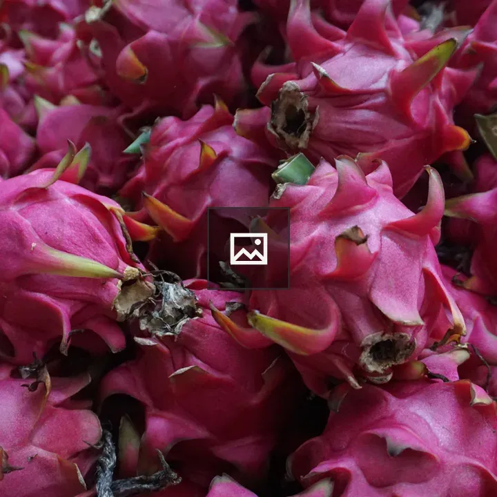 Dragon Fruit