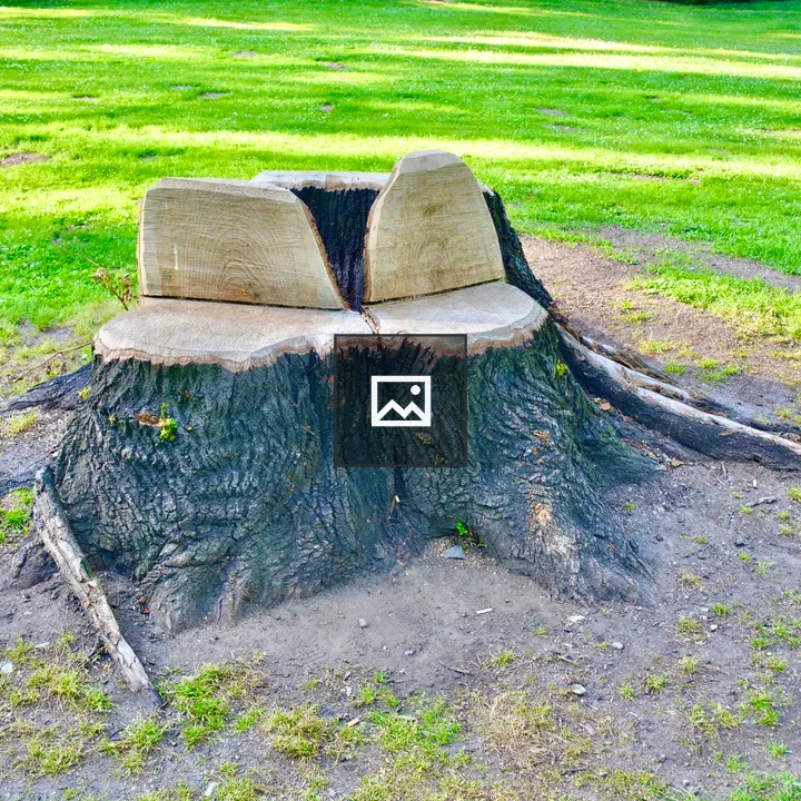 Tree trunk chairs in Prague
