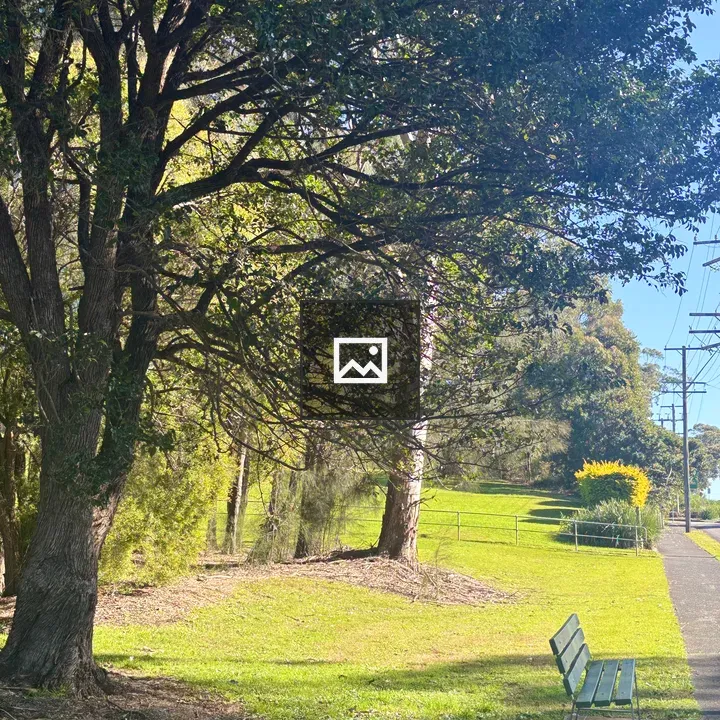 Bench in Nature Scene