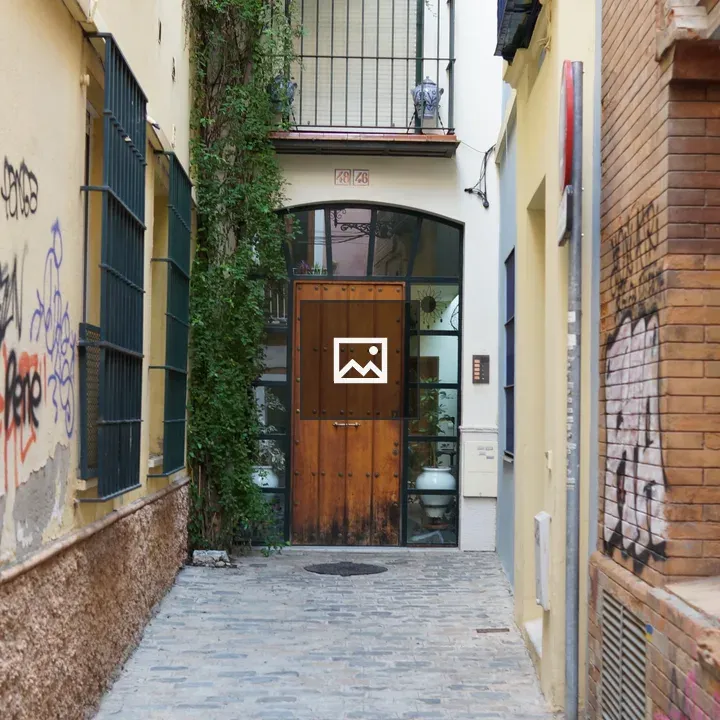 Small alley to wooden door