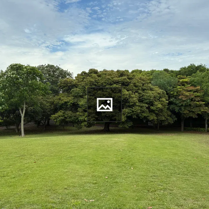 Serene lawn leading to trees at park