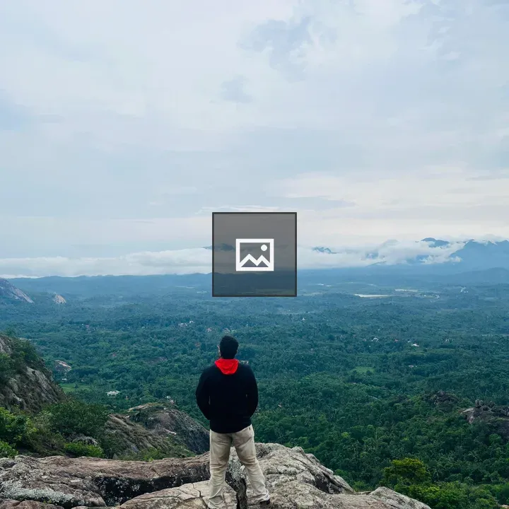 Person on rocky cliff overlooking forest