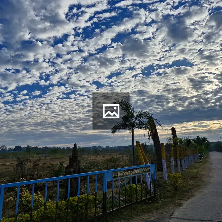 Serene sky over roadside landscape