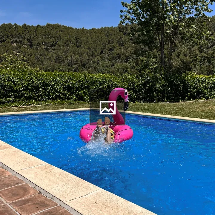 Swimming pool with pink flamingo float