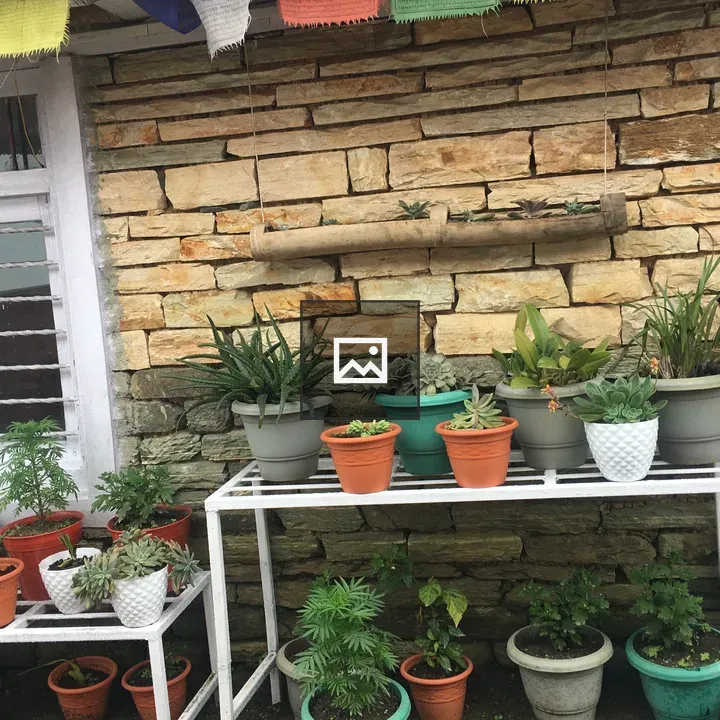 Garden pots on white racks
