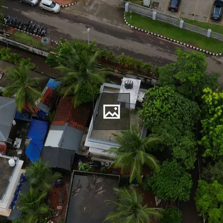 Aerial view of houses and trees on a road