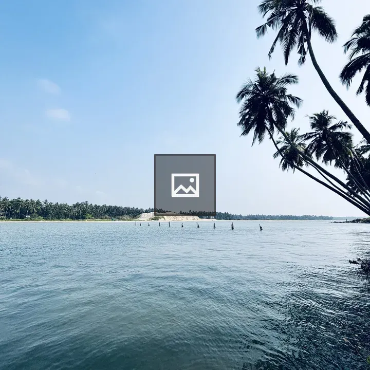 Palm Trees Over Water