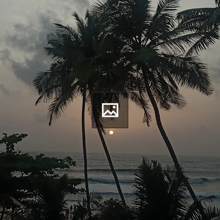 Palm Trees at Sunset Beach