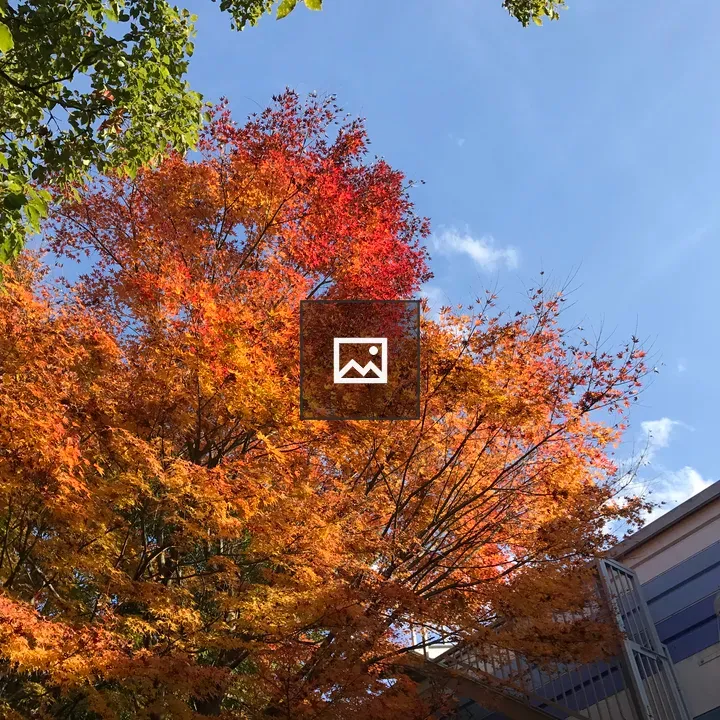 Autumn leaves by the stadium