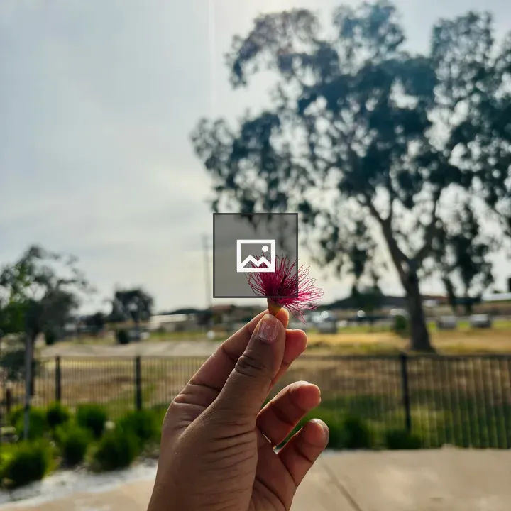 Holding Tiny Red Flower