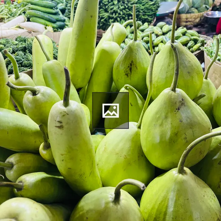 Green Gourds Close-Up