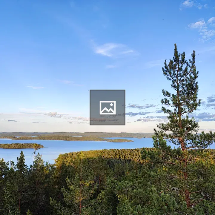 Pine Tree Overlooking Lake