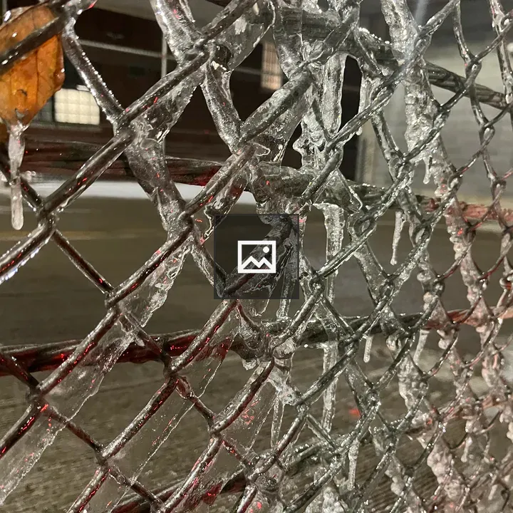Ice on a Fence