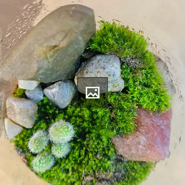 Glass vase with mossy rock and plants