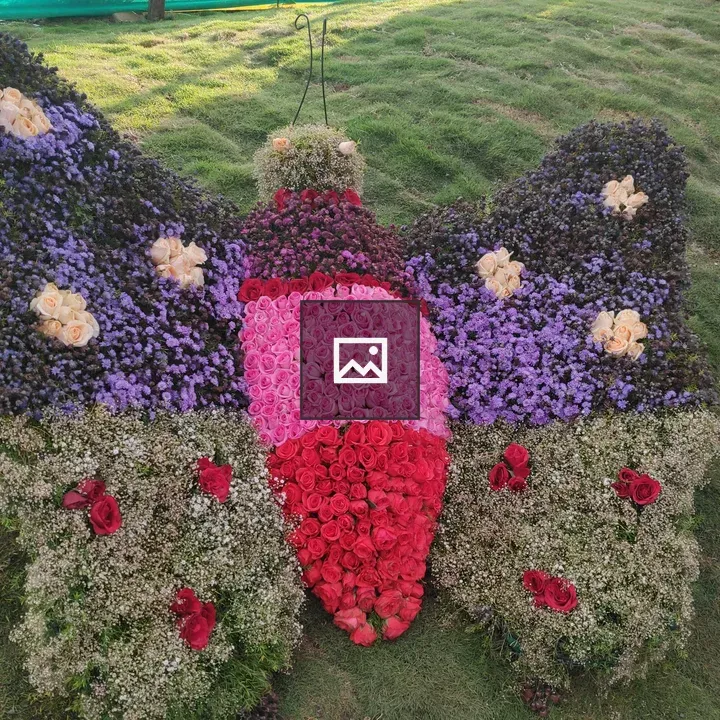Butterfly Made by Flowers