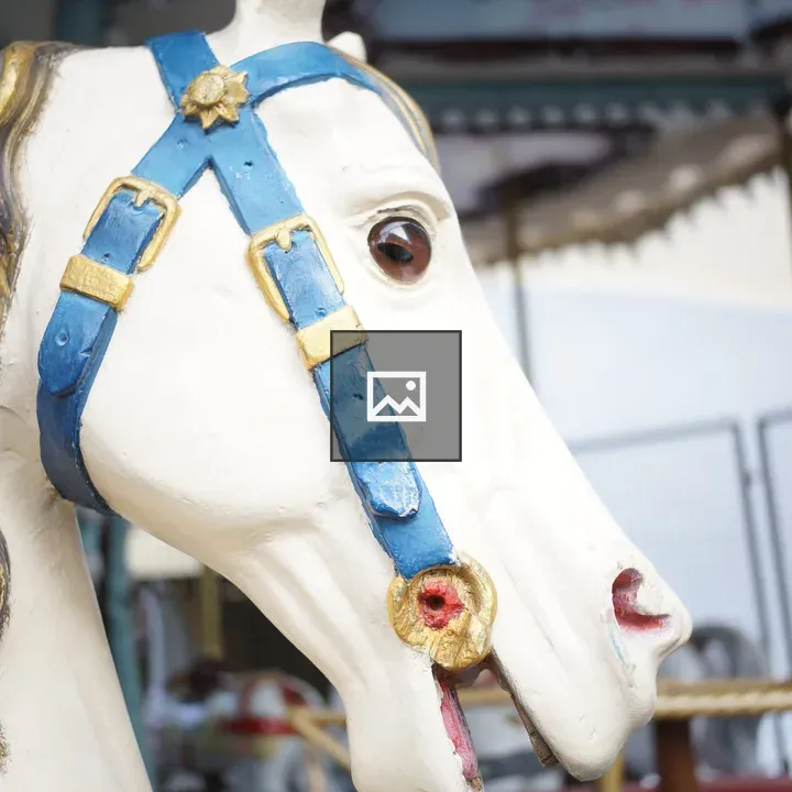 Merry-go-round Horse
