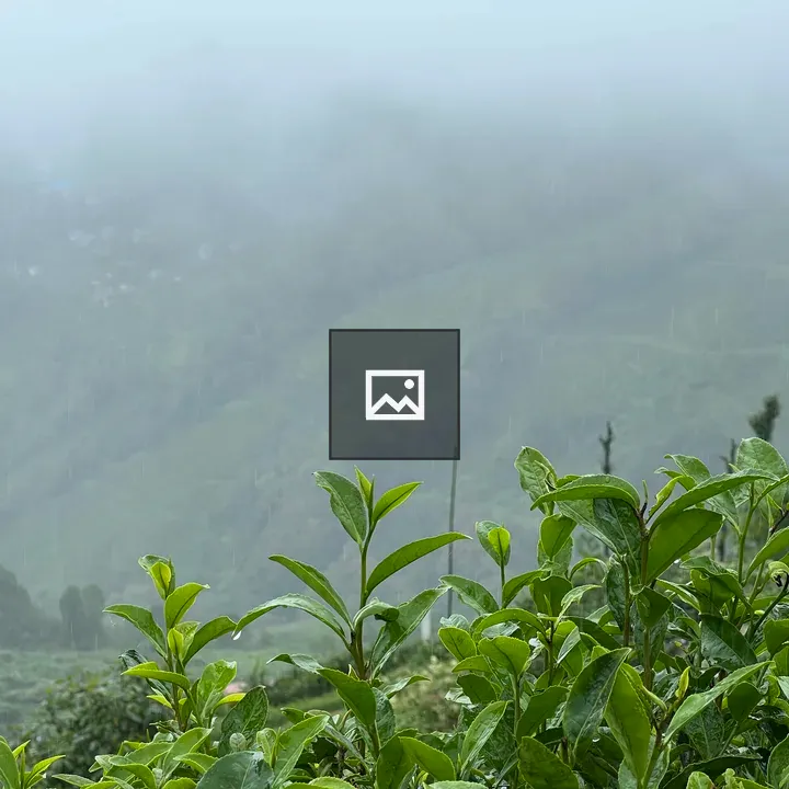 Rainy day over plants and mountains