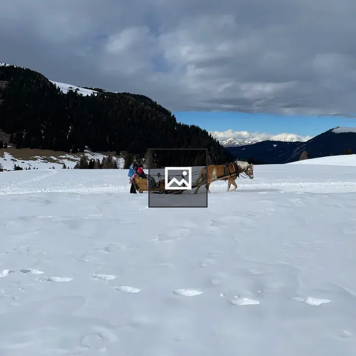 Sleigh Ride in the Alps