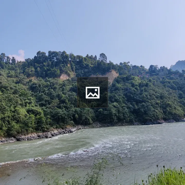 River in the Jungle