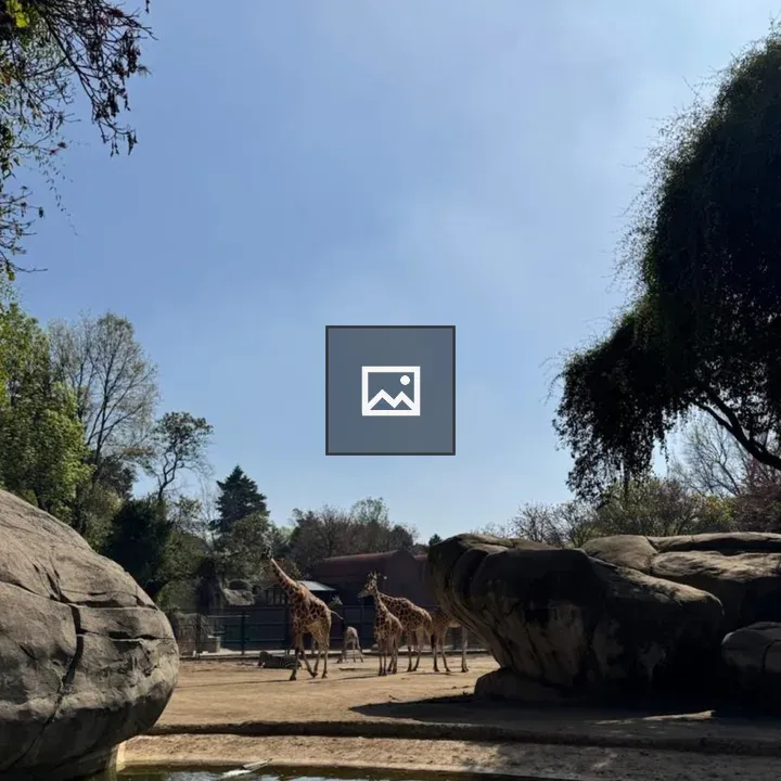 Giraffes by Water in Wildlife Park