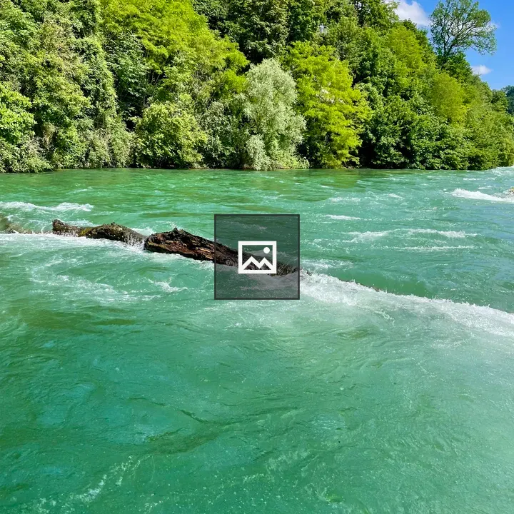 Aare River with Log