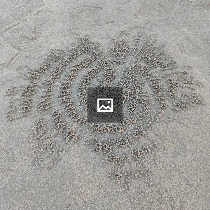 Sand crab hole