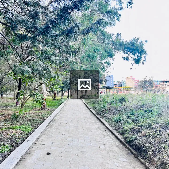 Walking trail among green trees