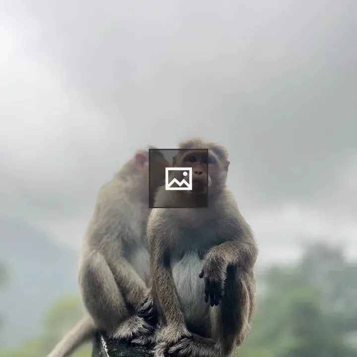 Monkey on a Pillar
