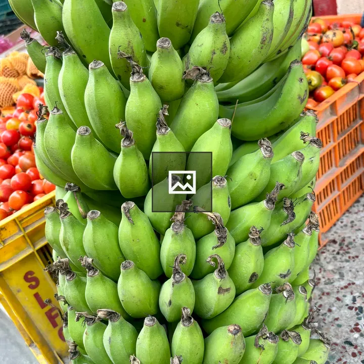 Green Bananas in Market Crates