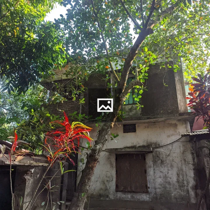 Aged brick house with trees