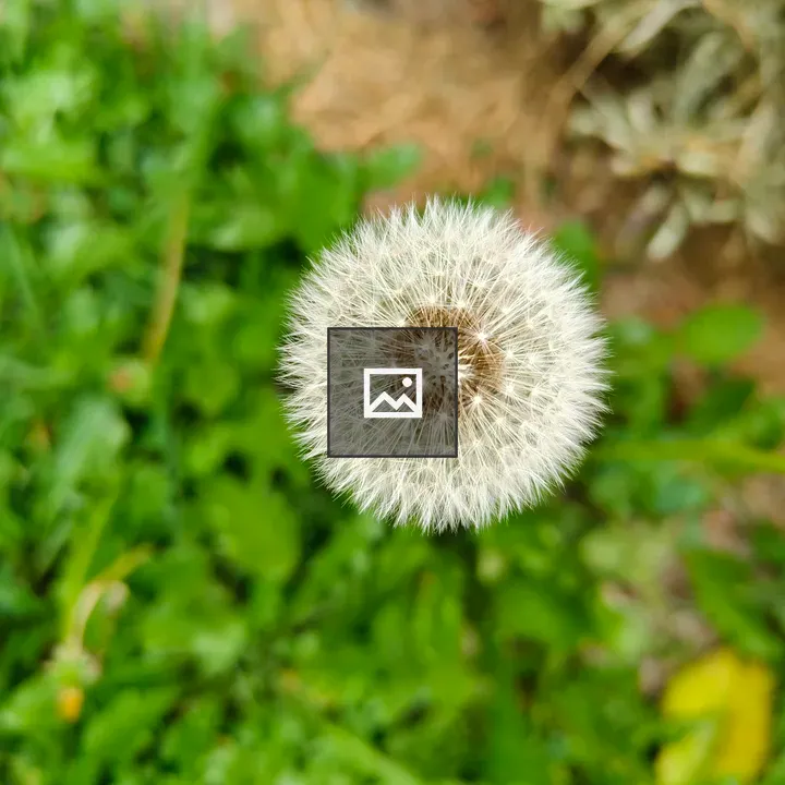 Seed Sphere on Stem