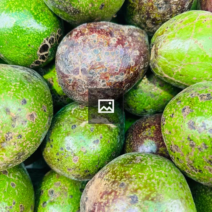 Avocados in a Pile