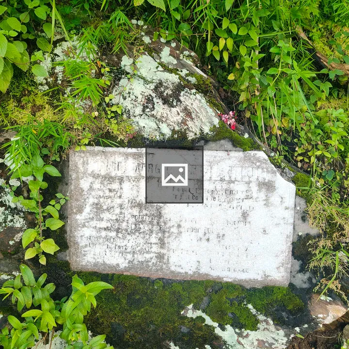 Stone plaque with moss and foliage