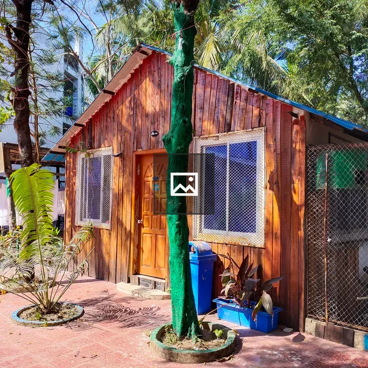 Small wooden house with tree