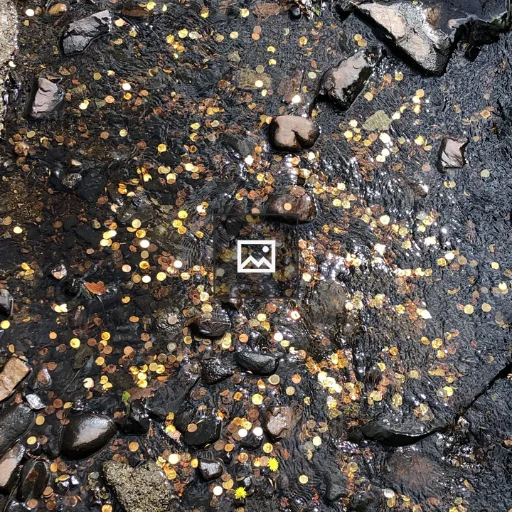 Coins at the river bottom