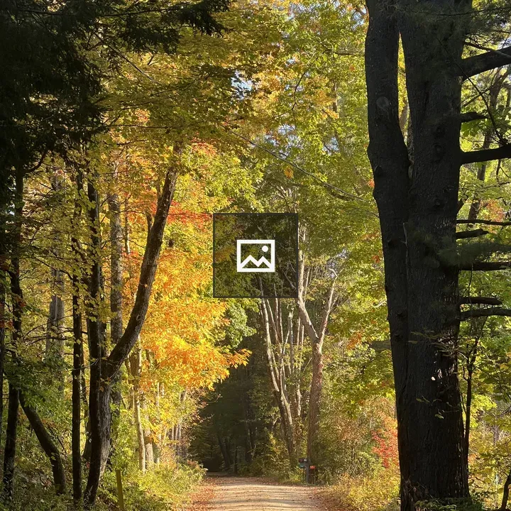 Dirt road with autumn leaves