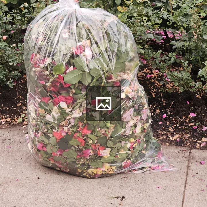 Rose Petals in Clear Bag