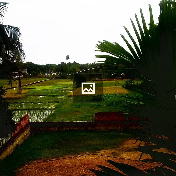 Village Morning Nature Scene