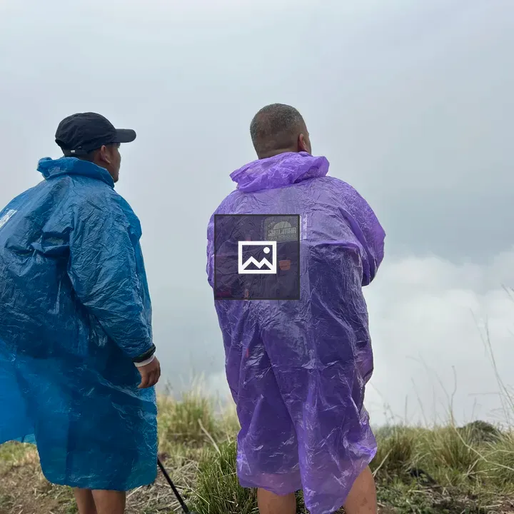 Two people in ponchos on a misty grassland