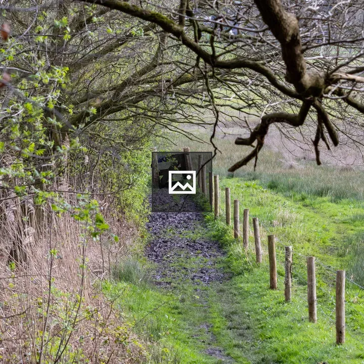 Narrow dirt path with posts