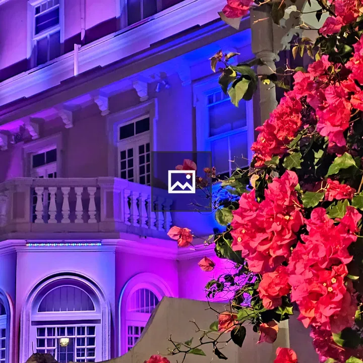 Night House with Purple Lights