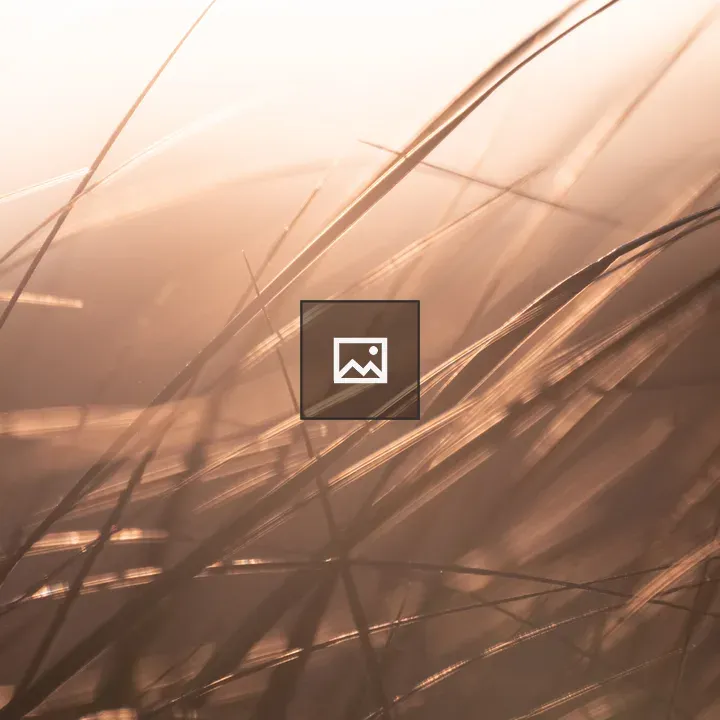 Beach Grass in Sunlight