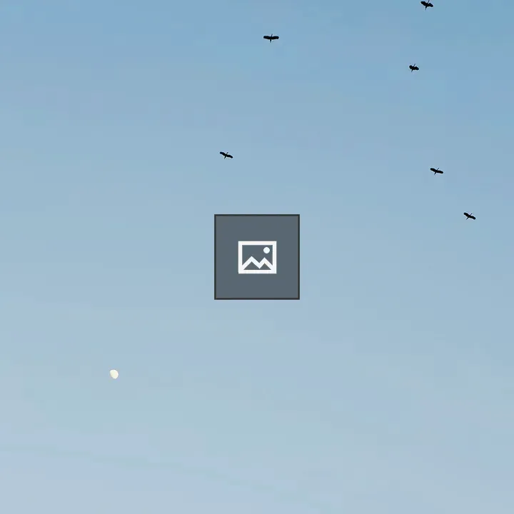Birds in flight against blue sky