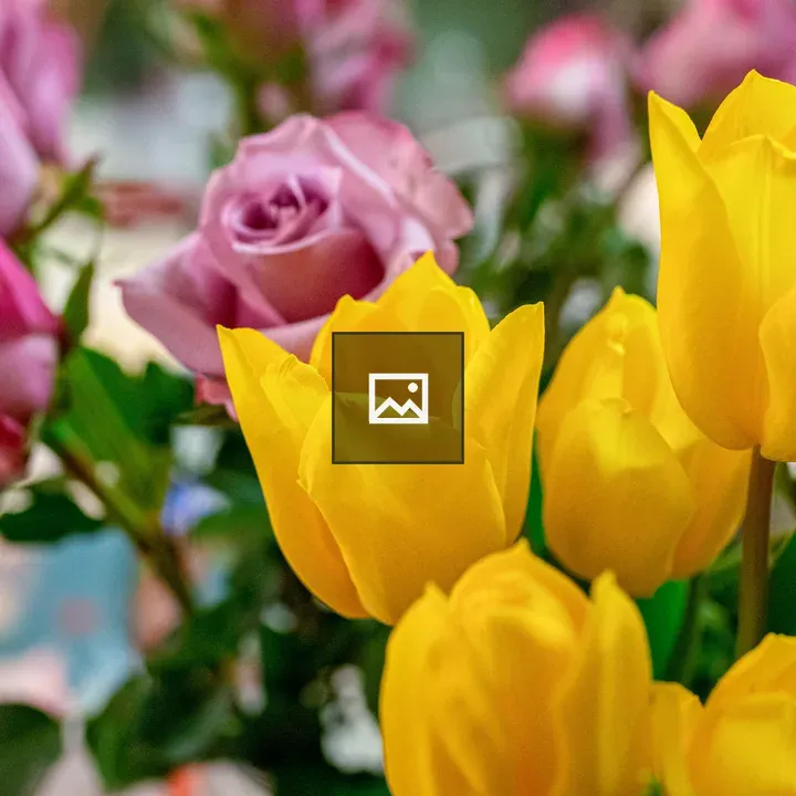 Yellow Tulips and Red Roses