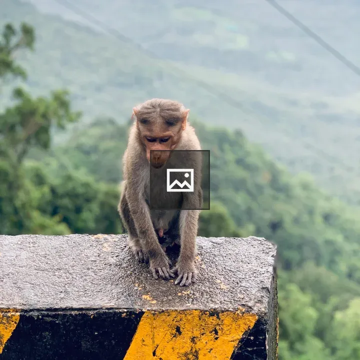 Monkey on Wall with Mountain View
