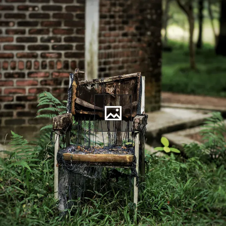 Broken Chair With Green Growth