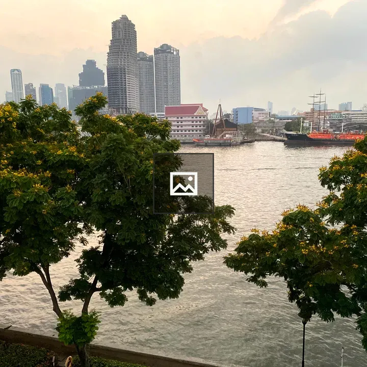 Waterfront with City and Yellow flowering tree
