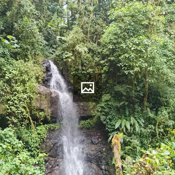 Waterfall Over Rocks in Jungle