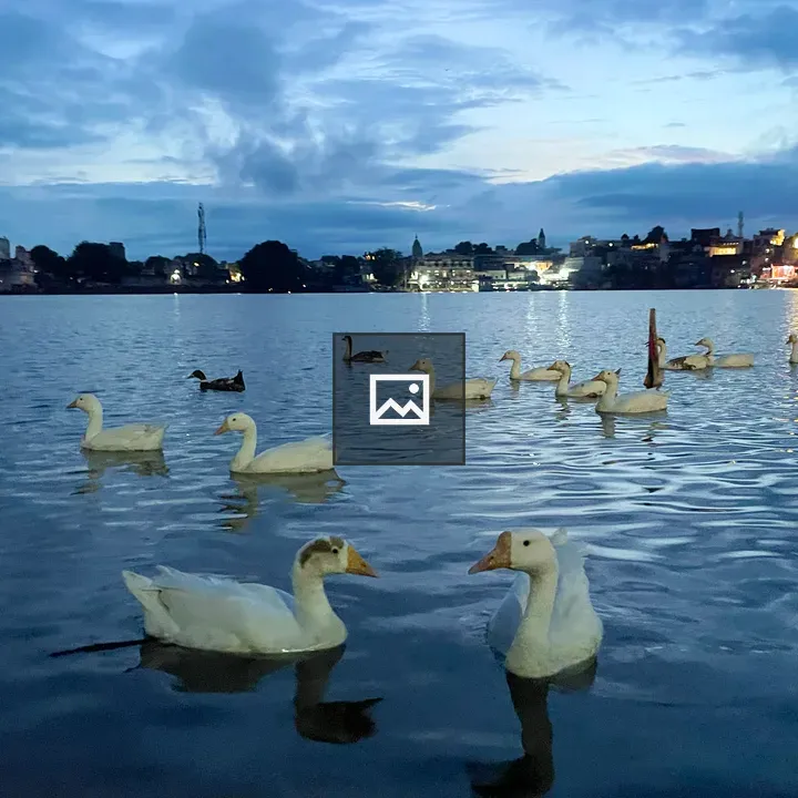 Ducks on a Quiet Lake at Twilight