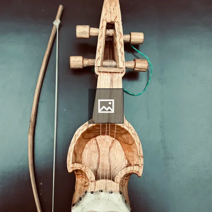 Sarangi Instrument Portrait